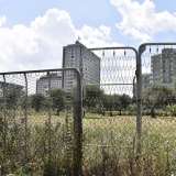 Costeggiamo la Telecom, per arrivare all�incrocio con via San Tommaso d�Aquino. E qui si apre un autentico panorama rurale. La zona tra la via del filosofo medievale e via Madre Teresa di Calcutta � in realt� una enorme area di campagna...
